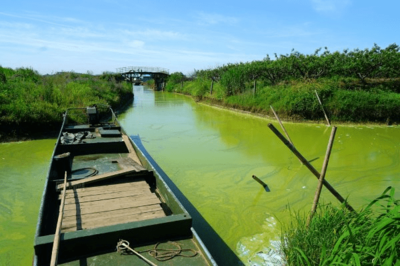 太湖落日，美中不足的遺憾